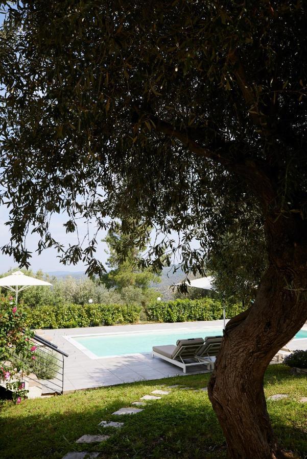 Sithonian Villa Neos Marmaras Exterior photo